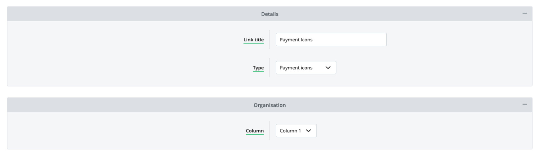 Payment icons footer element set up