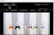 Zigzag Website - Lilou et Loic