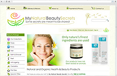 Zigzag Website - My Natural Beauty Secrets