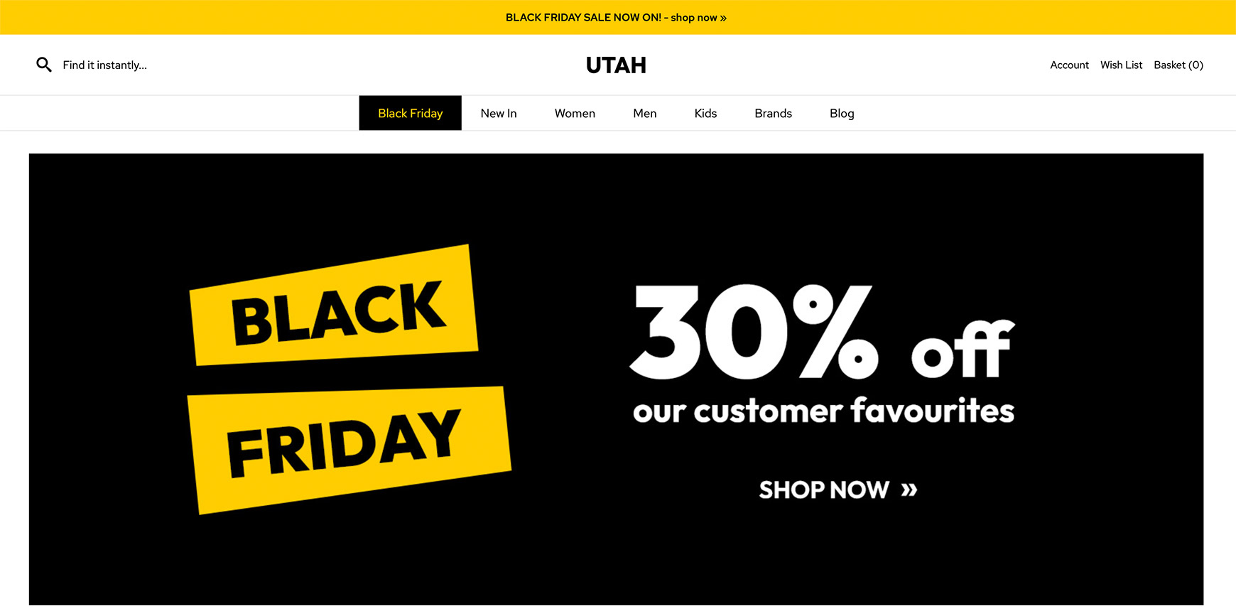 Black Friday Website Setup