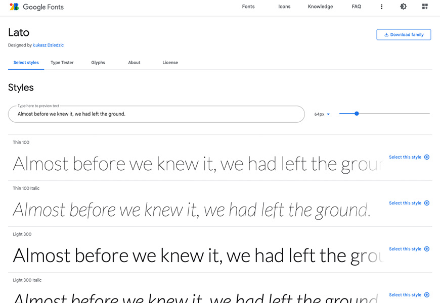Google Fonts font options