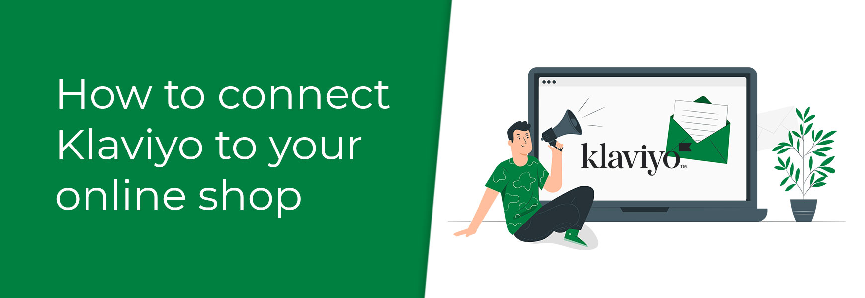 How to connect Klaviyo to your online shop