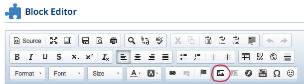 Inset Image Icon