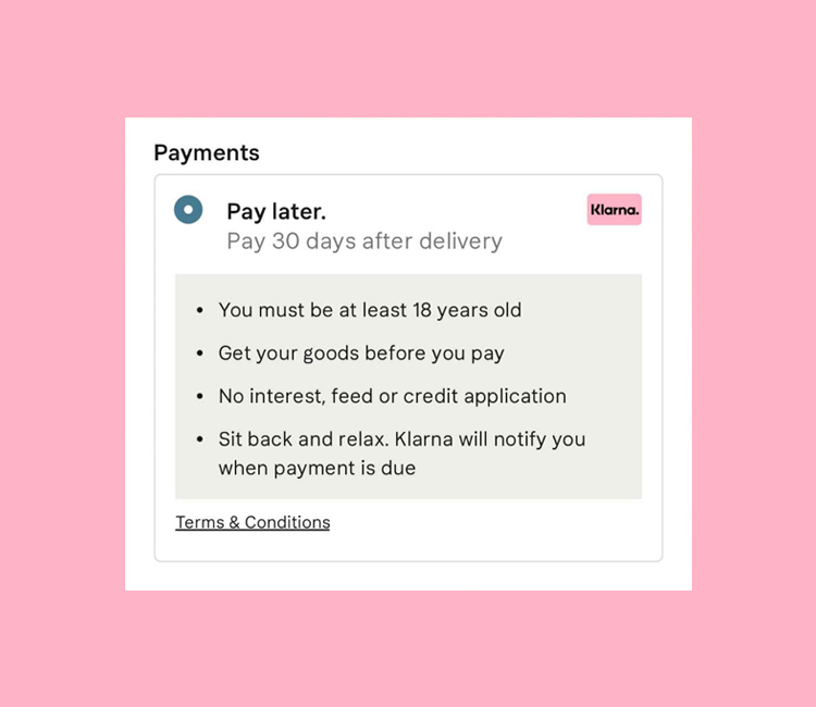 Klarna Pay Later